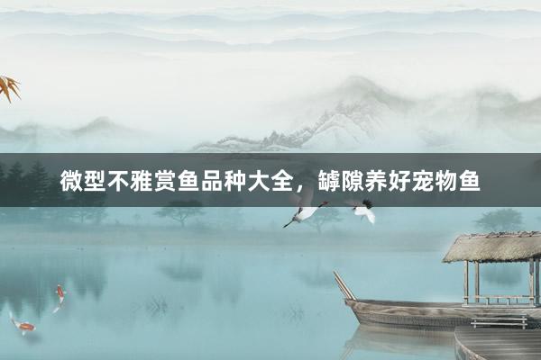 微型不雅赏鱼品种大全，罅隙养好宠物鱼